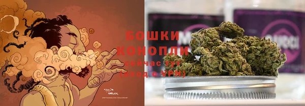 СК Арсеньев