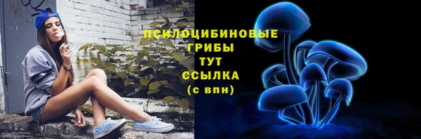 СК Арсеньев