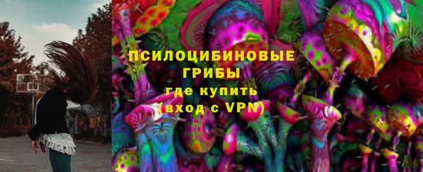 стафф Баксан