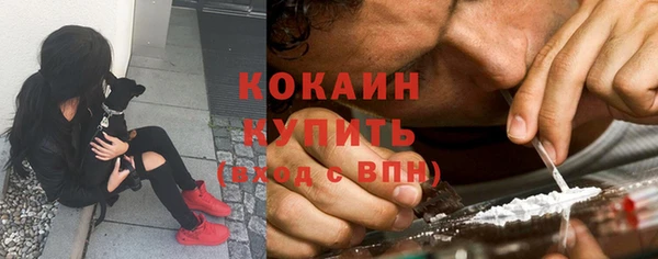 кокс Аркадак