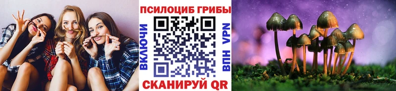 Псилоцибиновые грибы мухоморы  Сосновый Бор 